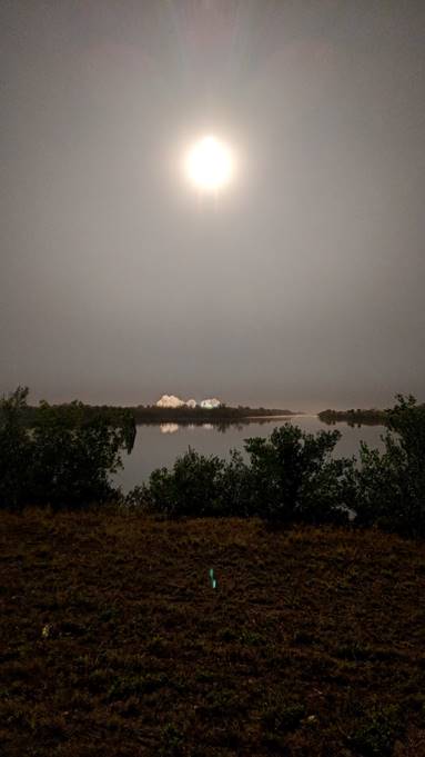 Falcon 9 Crew Dragon Launch View From Press Site, Photo Courtesy Cliff Lethbridge/Spaceline