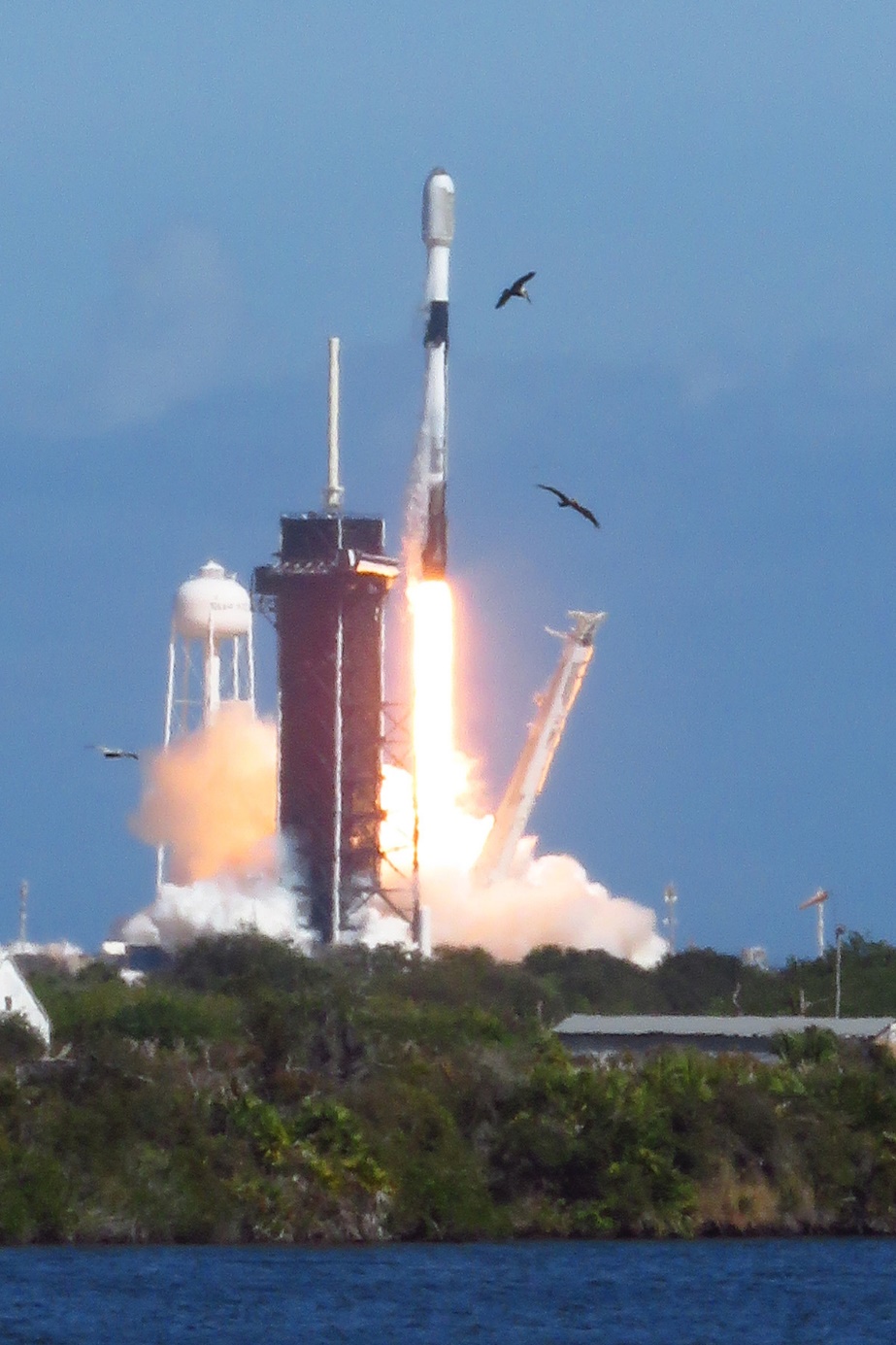 Falcon 9 Starlink 4-7 Launch, Photo Courtesy Carleton Bailie, Spaceline