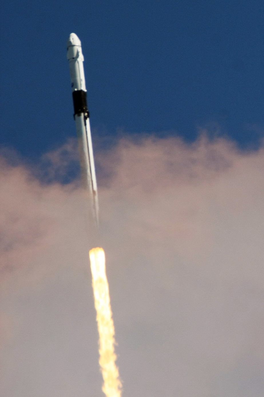 Falcon 9 Crew-5 In Flight, Photo Courtesy Carleton Bailie,Spaceline